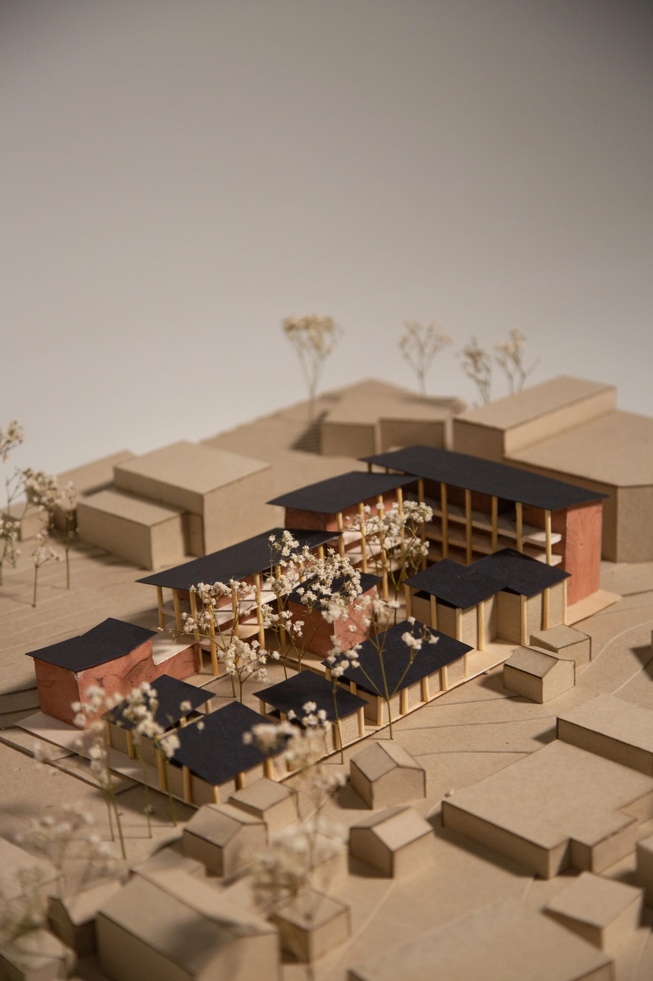 House and Tree project